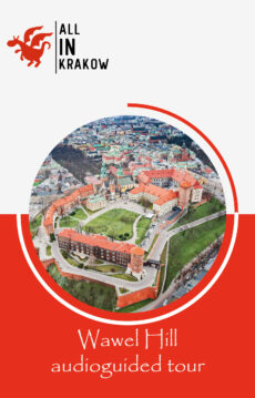 Wawel Hill - audioguided tour of the Castle courtyard