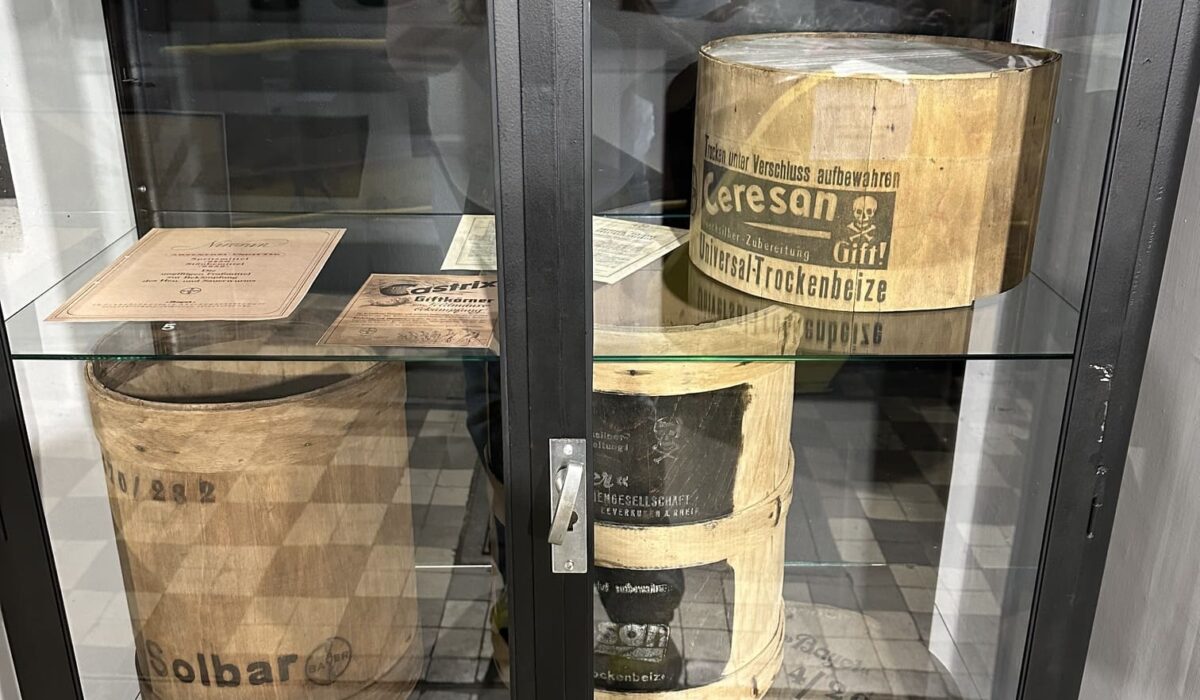 Drut kolczasty oryginalny z ogrodzenia obozu